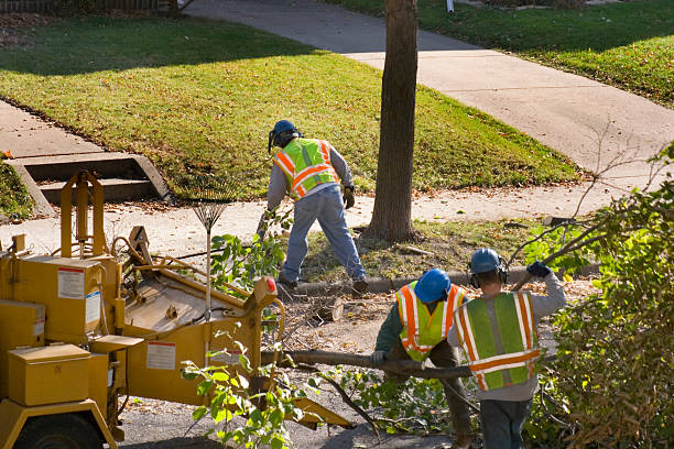 Red Lion, PA  Tree Services Company